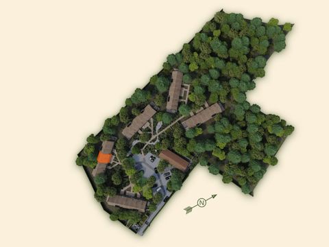 Woodz Lodges  - Camping Limburg Belge - Image N°5