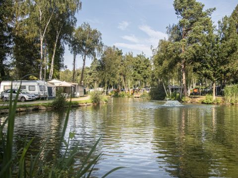 Camping Zavelbos - Camping Limburg Belge