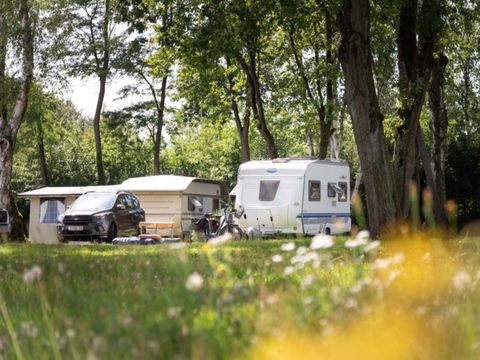 Camping de Binnenvaart - Camping Limburg Belge - Image N°5