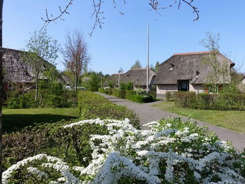 Vakantiepark De Lourenshoeve - Camping Twenteret