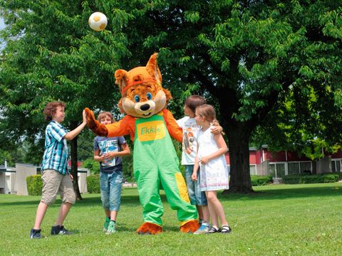 Roompot Vakantiepark Schin op Geul - Camping Valkenburg an der Geul