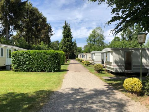 Ferienpark Eifellux - Camping Rhénanie-Palatinat