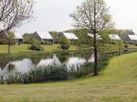 Maaspark Boschmolenplas - Camping Maasgouw - Image N°4