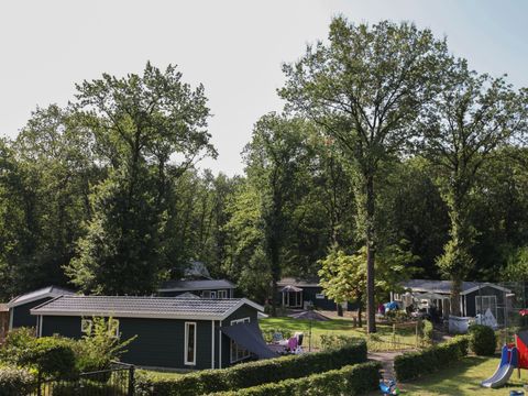 Vakantiepark Bonte Vlucht - Camping Utrechtse Heuvelrug - Image N°4