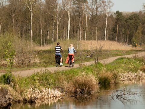 EuroParcs Hoge Kempen - Camping Limburg Belge - Image N°4