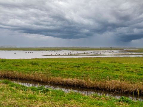 EuroParcs Texel - Camping Texel - Image N°5