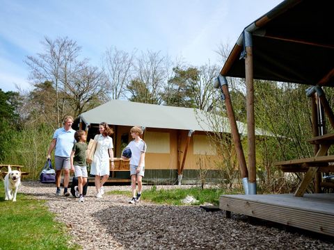 Landal Glamping Neufchateau - Camping Luxembourg