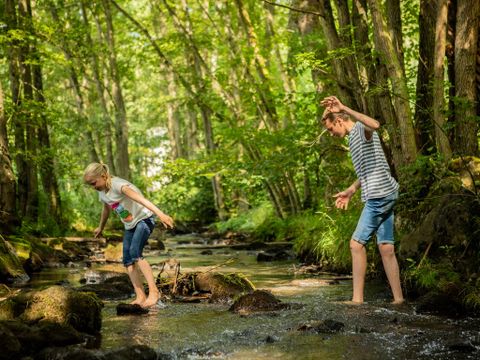 Landal Nature Parc Saint Hubert - Camping Luxembourg