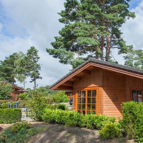 MAISON 6 personnes - Sauna royal de Boekhorst